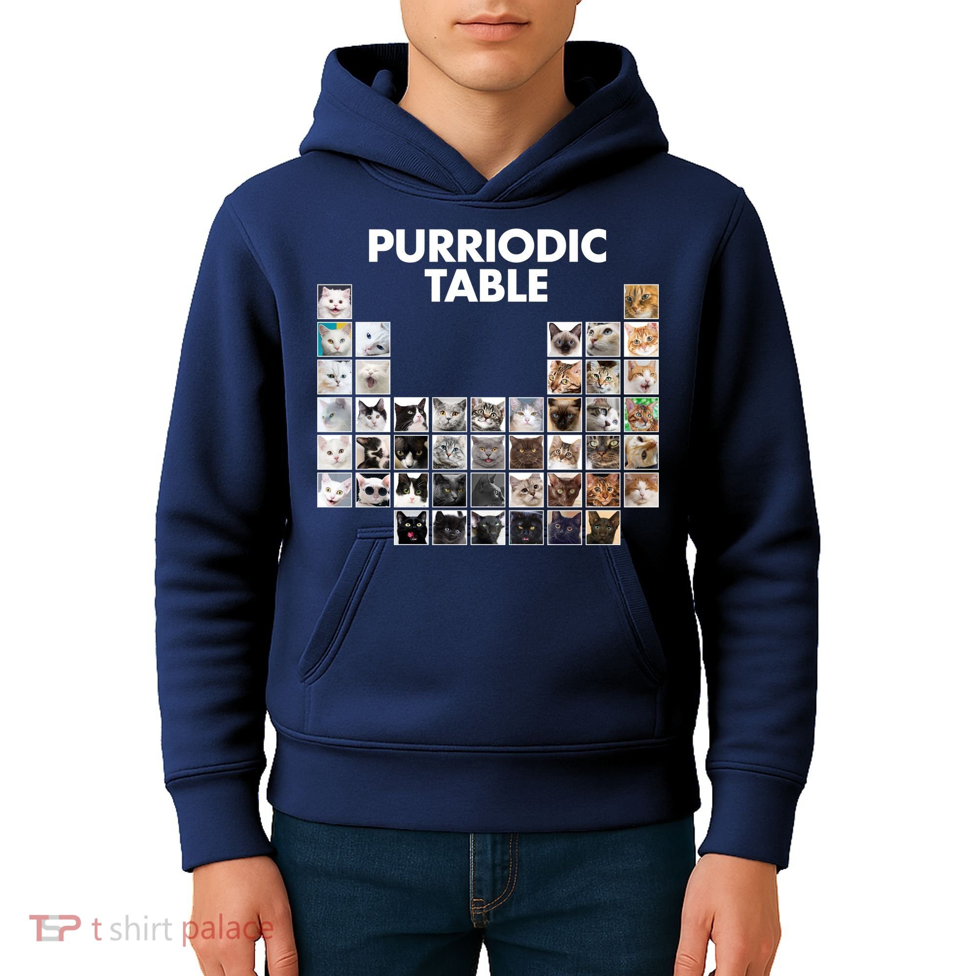 Purriodic Table Of Cats Periodic Kids Hoodie