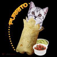 Purrito Cat In A Burrito Toddler Hoodie thumb 2