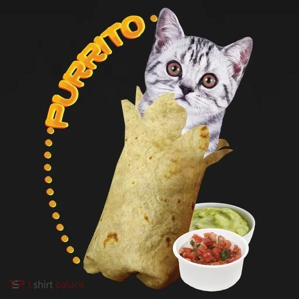 Purrito Cat In A Burrito Toddler T-Shirt
