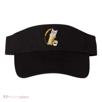 Visor