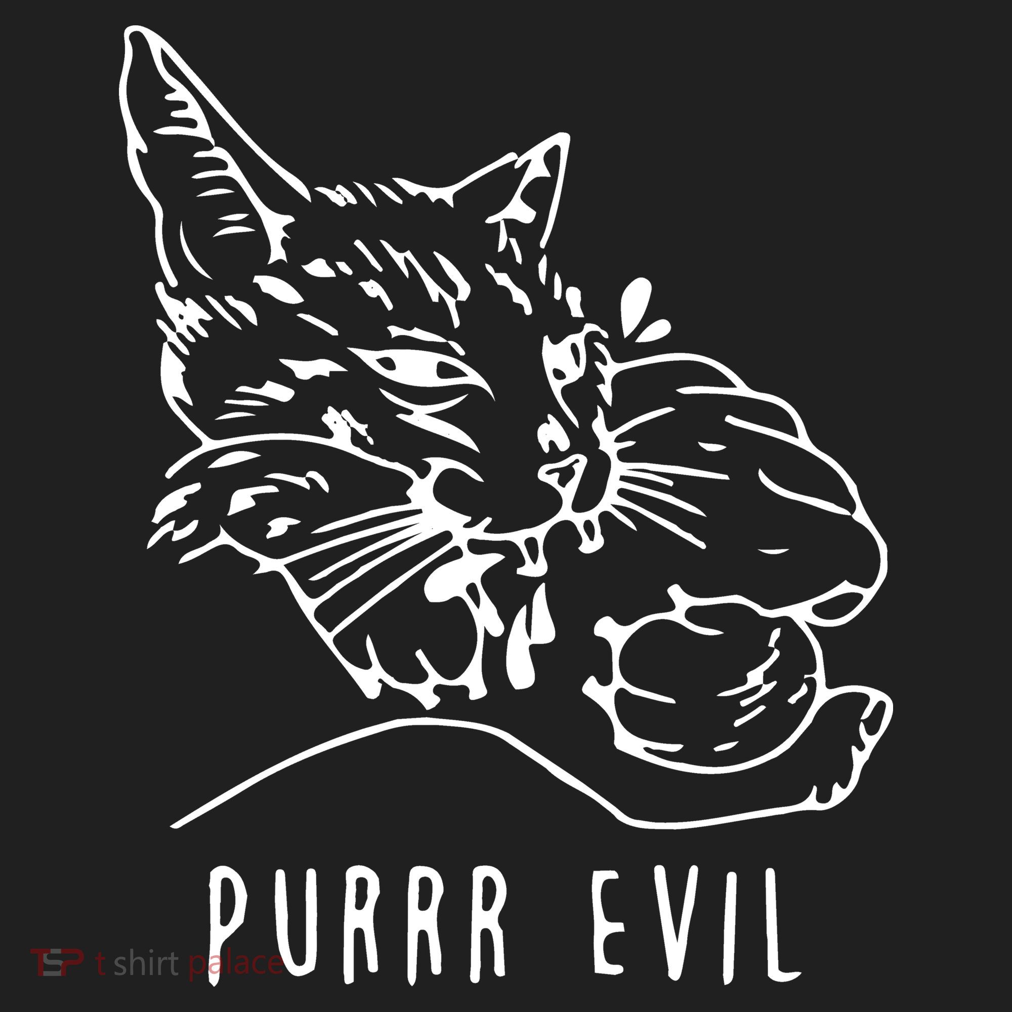 Purrr Evil Funny Cat Beanie