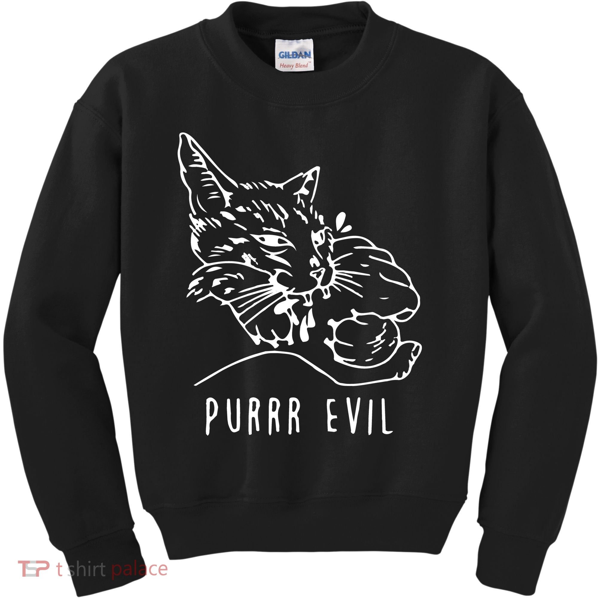 Purrr Evil Funny Cat Kids Sweatshirt