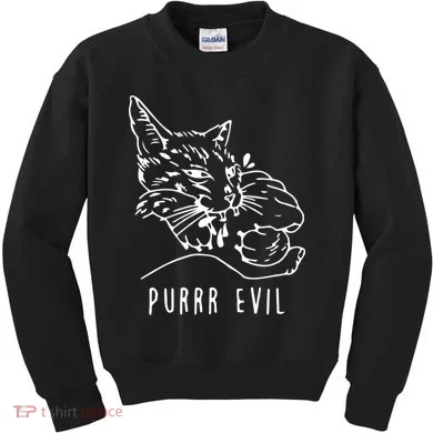 Purrr Evil Funny Cat Kids Sweatshirt