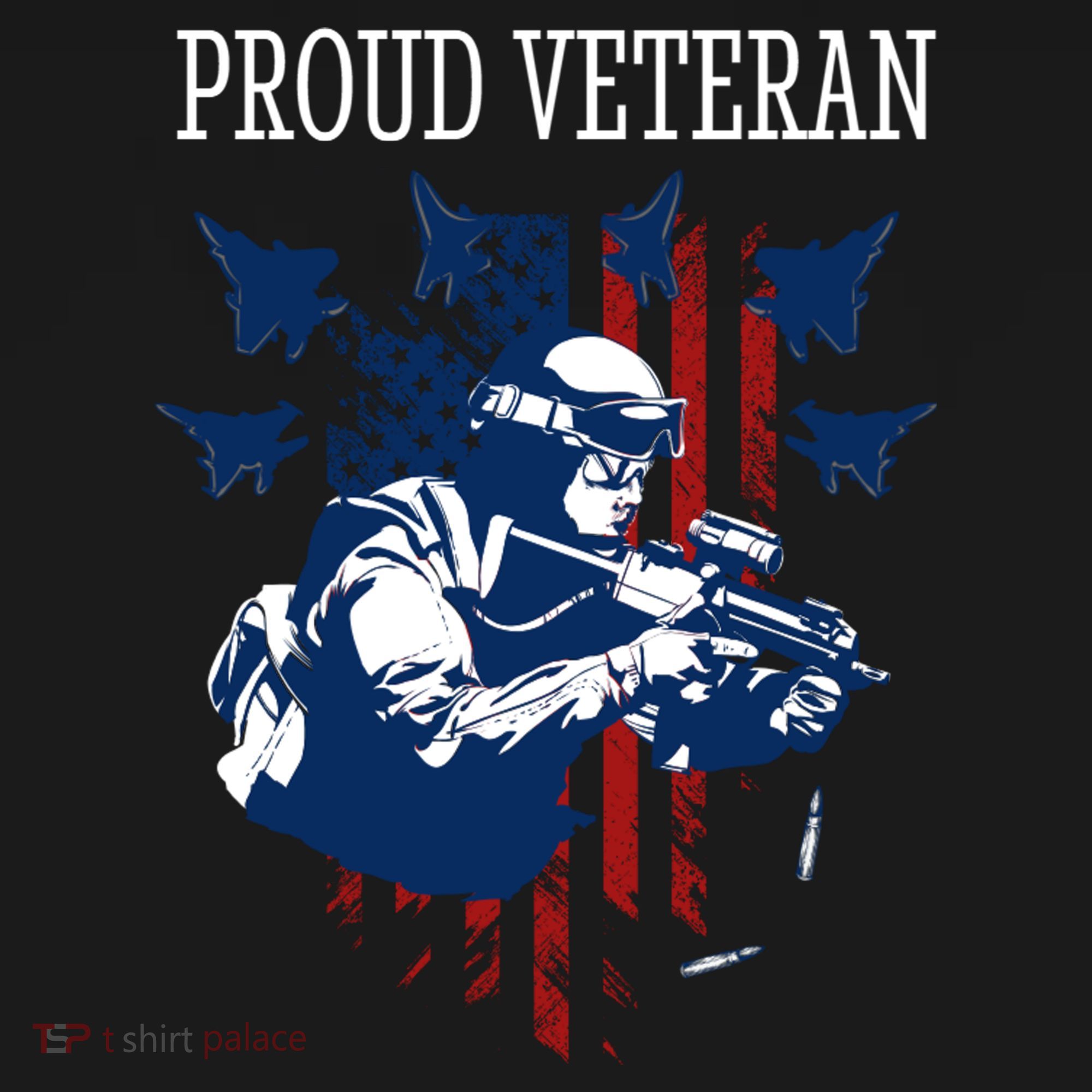Proud Veteran Airstrike Combat Coaster