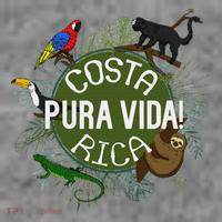 Pura Vida Costa Rica ! Party Animals! Toddler Hoodie thumb 2