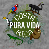Pura Vida Costa Rica ! Party Animals! Toddler Hoodie thumb 2