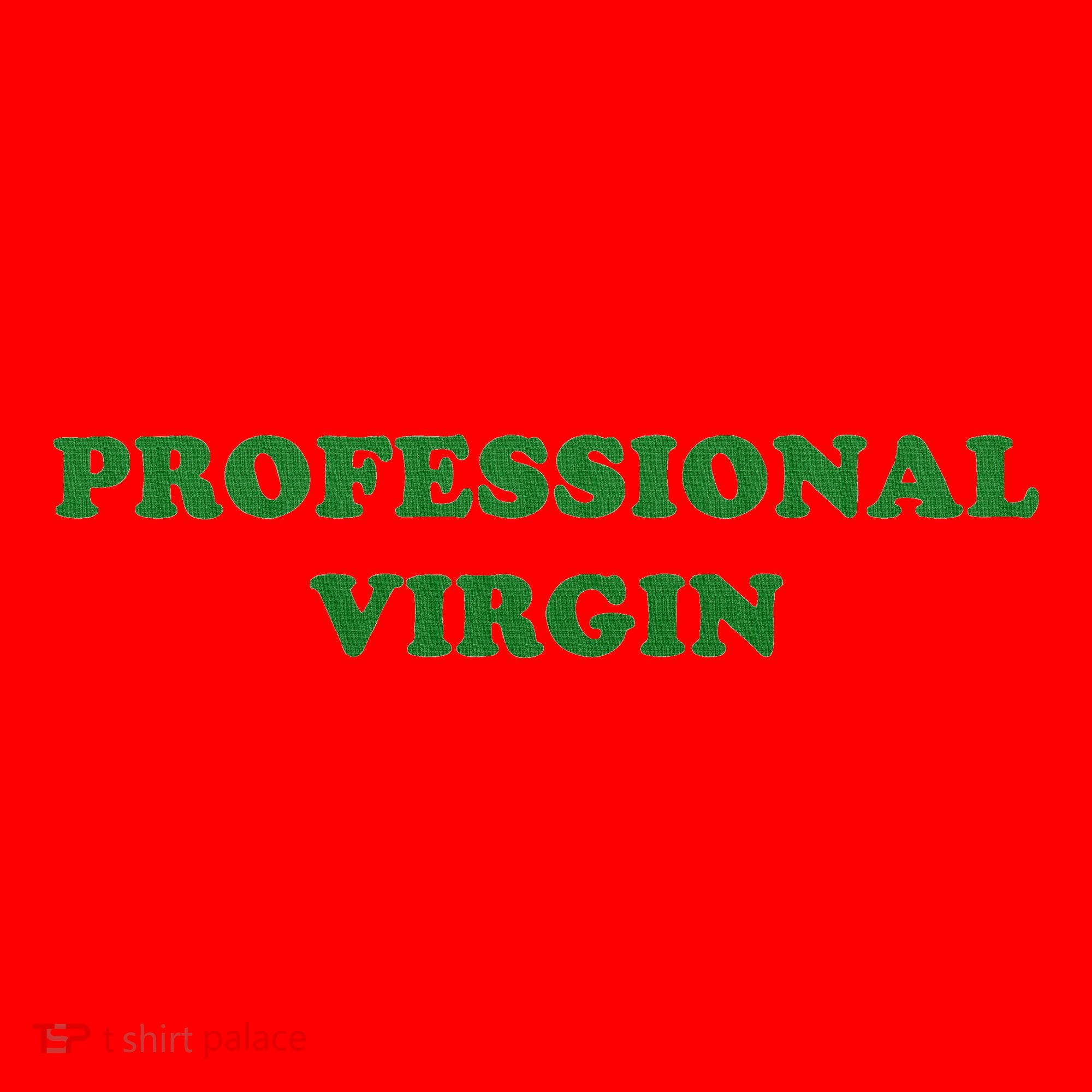 Professional Virgin Funny Quote Professional Virgin Santa Hat