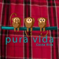 Pura Vida Monkeys Costa Rica Men's Flannel Plaid Pajama Pants thumb 2