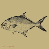 Pompano Vintage Style Pompano Fishing Retro Gift T-Shirt thumb 7
