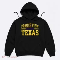Prairie View Texas Prairie Gift Distressed Hoodie thumb 0