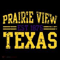Prairie View Texas Prairie Gift Distressed Bucket Hat thumb 4