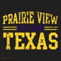 Prairie View Texas Prairie Gift Distressed Beanie thumb 2