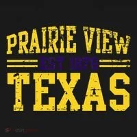 Prairie View Texas Prairie Gift Distressed Women's Hoodie thumb 2