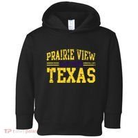 Prairie View Texas Prairie Gift Distressed Toddler Hoodie thumb 0