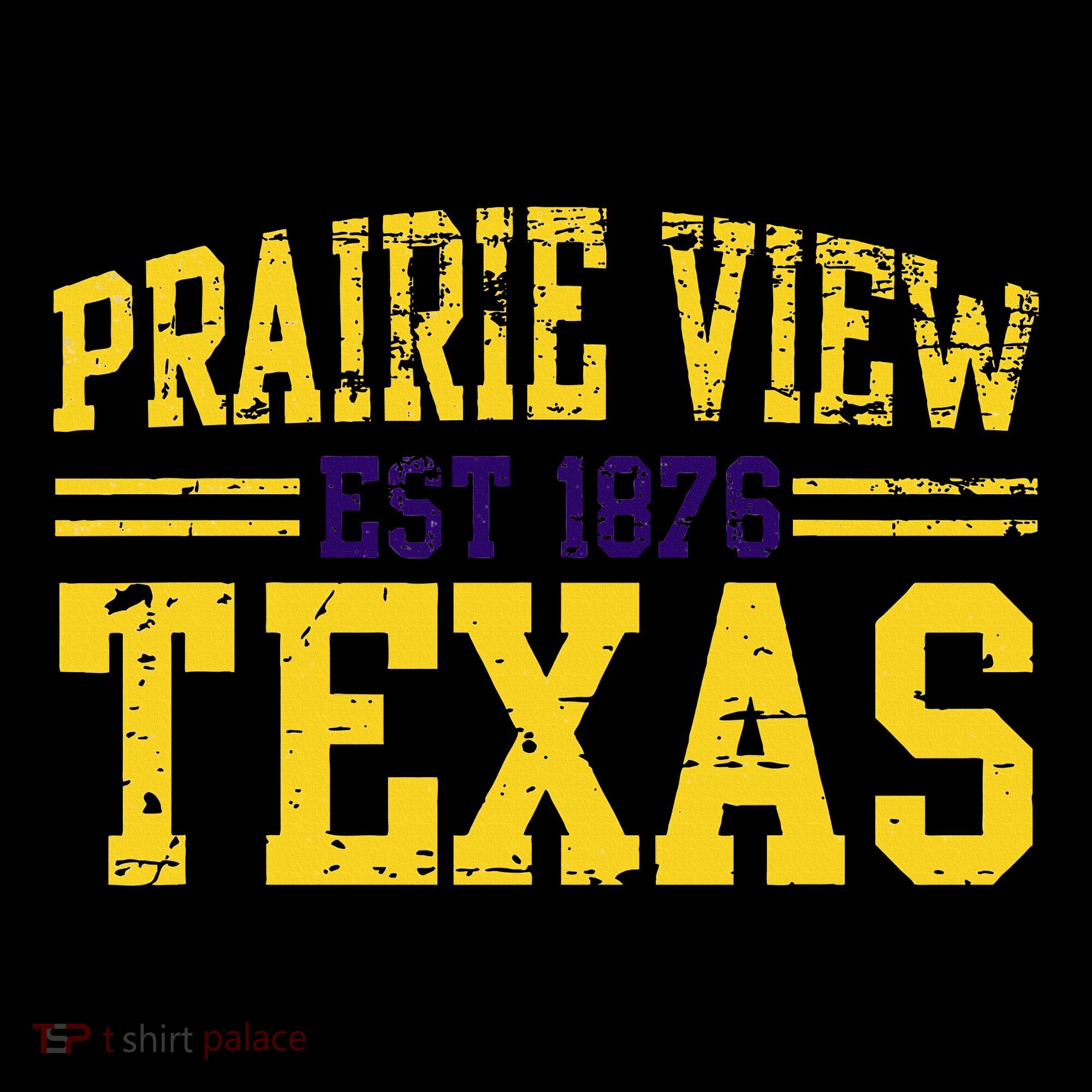 Prairie View Texas Prairie Gift Distressed Kids Hoodie