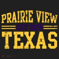 Prairie View Texas, Prairie Gift, Distressed Text Tumbler thumb 3