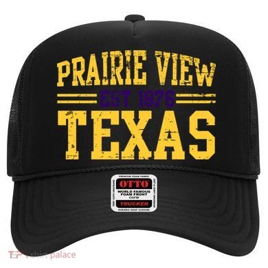Prairie View Texas, Prairie Gift, Distressed Text Hat