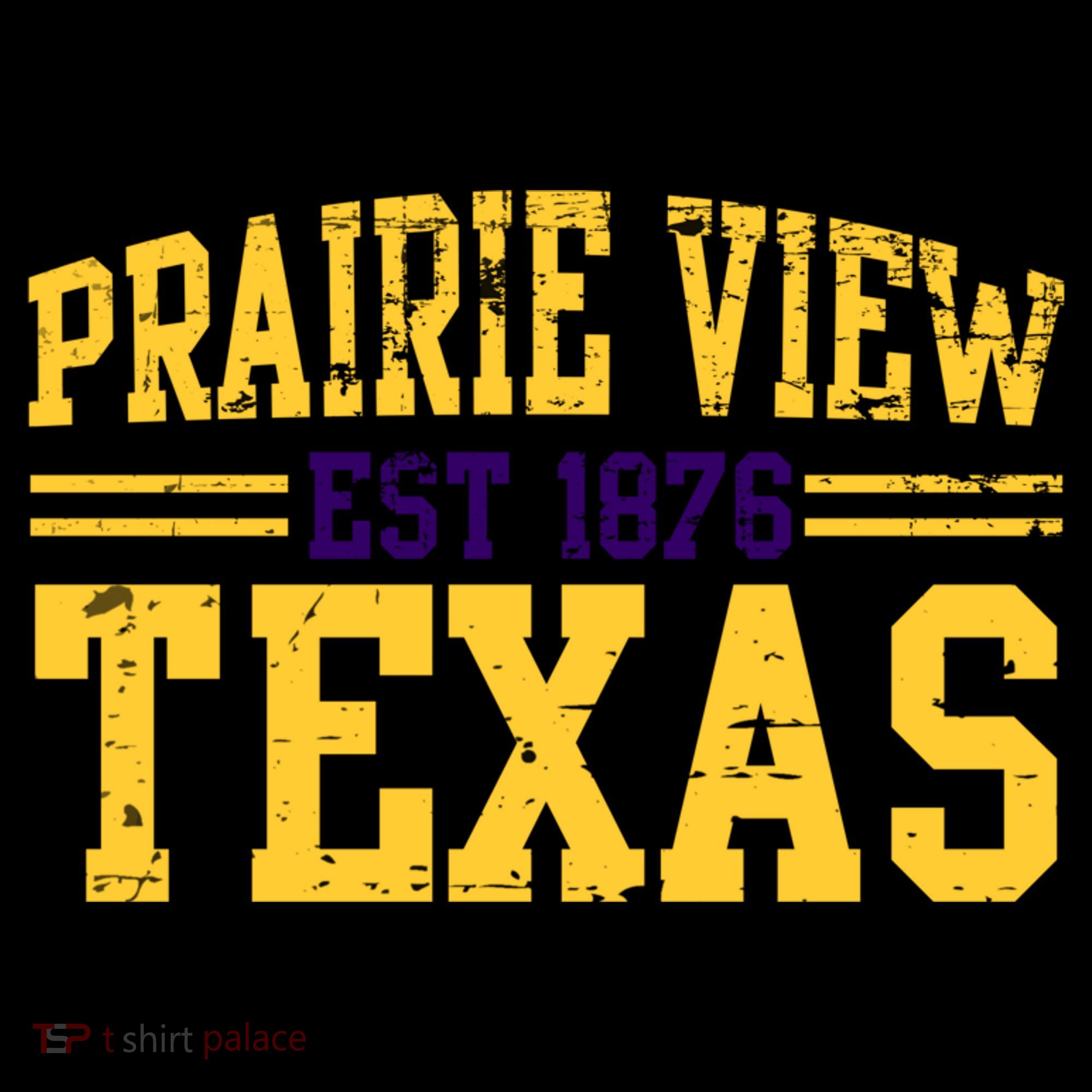 Prairie View Texas, Prairie Gift, Distressed Text Toddler Hoodie
