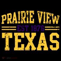 Prairie View Texas, Prairie Gift, Distressed Text Kids Long Sleeve Shirt thumb 2
