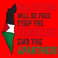 Palestine Will Be Free Stop The Genocide End The Apartheid Santa Hat thumb 1