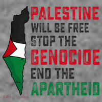 Palestine Will Be Free Stop The Genocide End The Apartheid Toddler Hoodie thumb 2