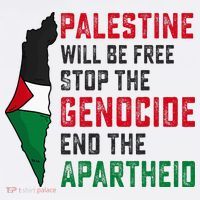 Palestine Will Be Free Stop The Genocide End The Apartheid Women's Hoodie thumb 2