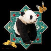 Panda With Butterflies Women's Hoodie thumb 2