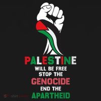 Palestine Will Be Free Stop The Genocide End The Apartheid  Women's Hoodie thumb 2