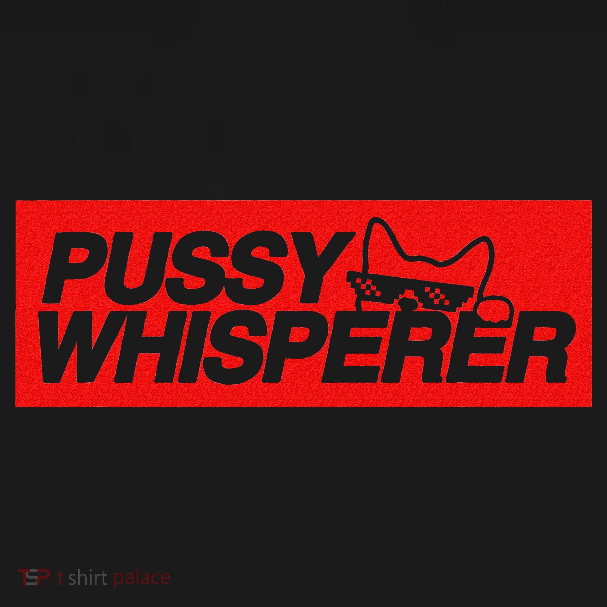 Pussy Whisperer Funny Cat Owner Visor