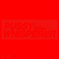 Pussy Whisperer Funny Cat Owner Santa Hat thumb 1