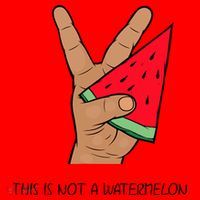 Palestine Watermelon Flag Support Gaza & Freedom! Women's Tank Top thumb 5