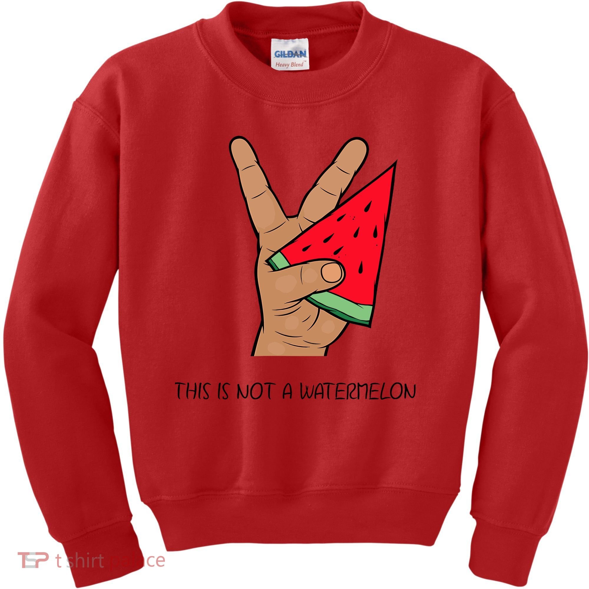 Palestine Watermelon Flag Support Gaza & Freedom! Kids Sweatshirt