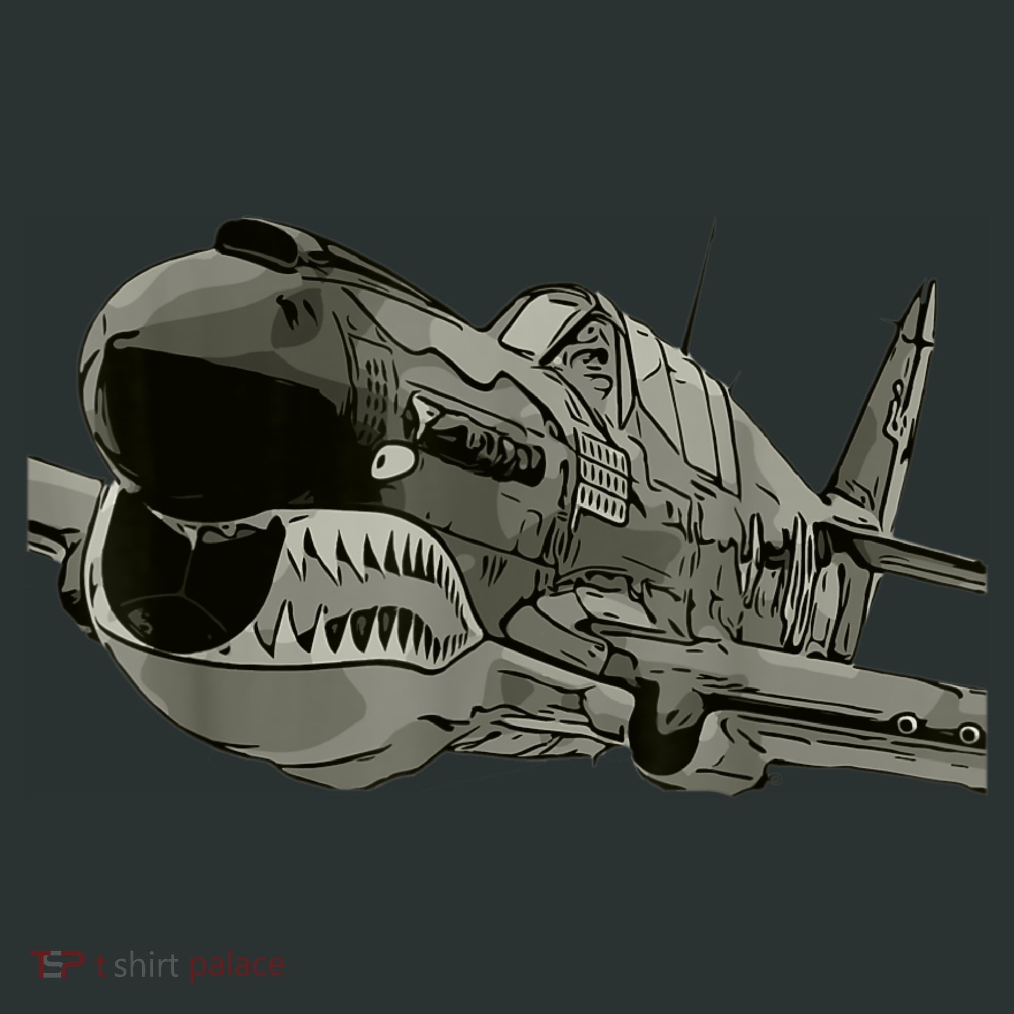 P40 Warhawk Fighter Aircraft WW2 Plane Spotting Spotter Women's T-Shirt