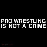 Pro Wrestling Is Not A Crime Funny Sarcastic Kids Sweatshirt thumb 2
