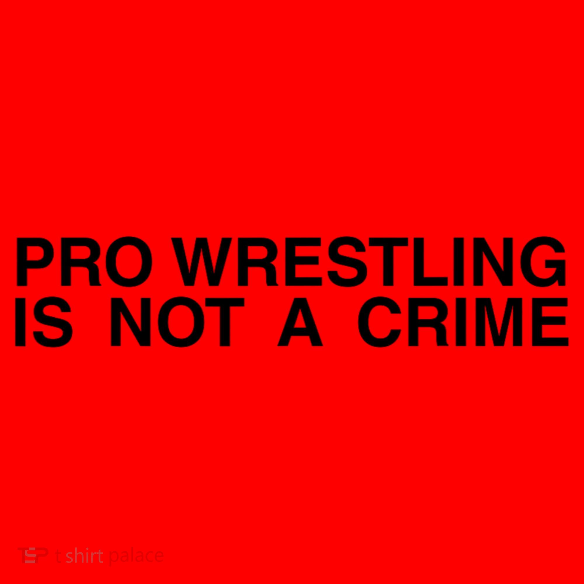 Pro Wrestling Is Not A Crime Funny Sarcastic Santa Hat