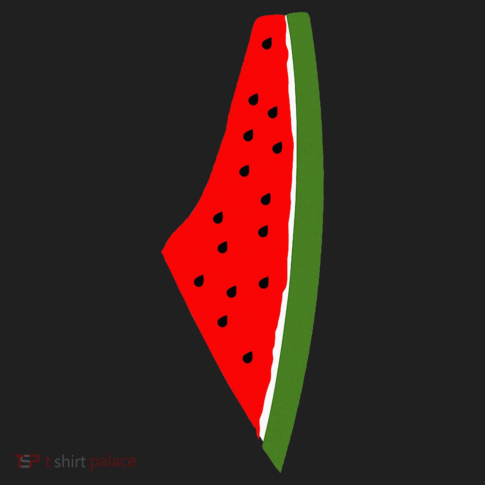 Palestine Watermelon Map Tumbler
