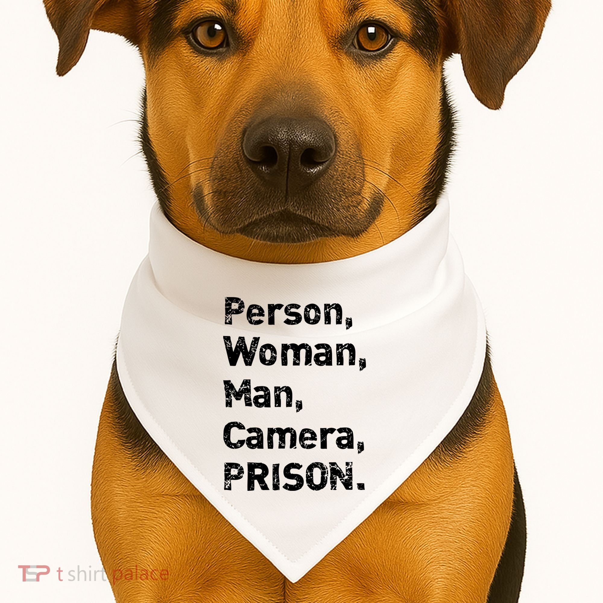 Person, Woman, Man, Camera, PRISON USA-Made Doggie Bandana