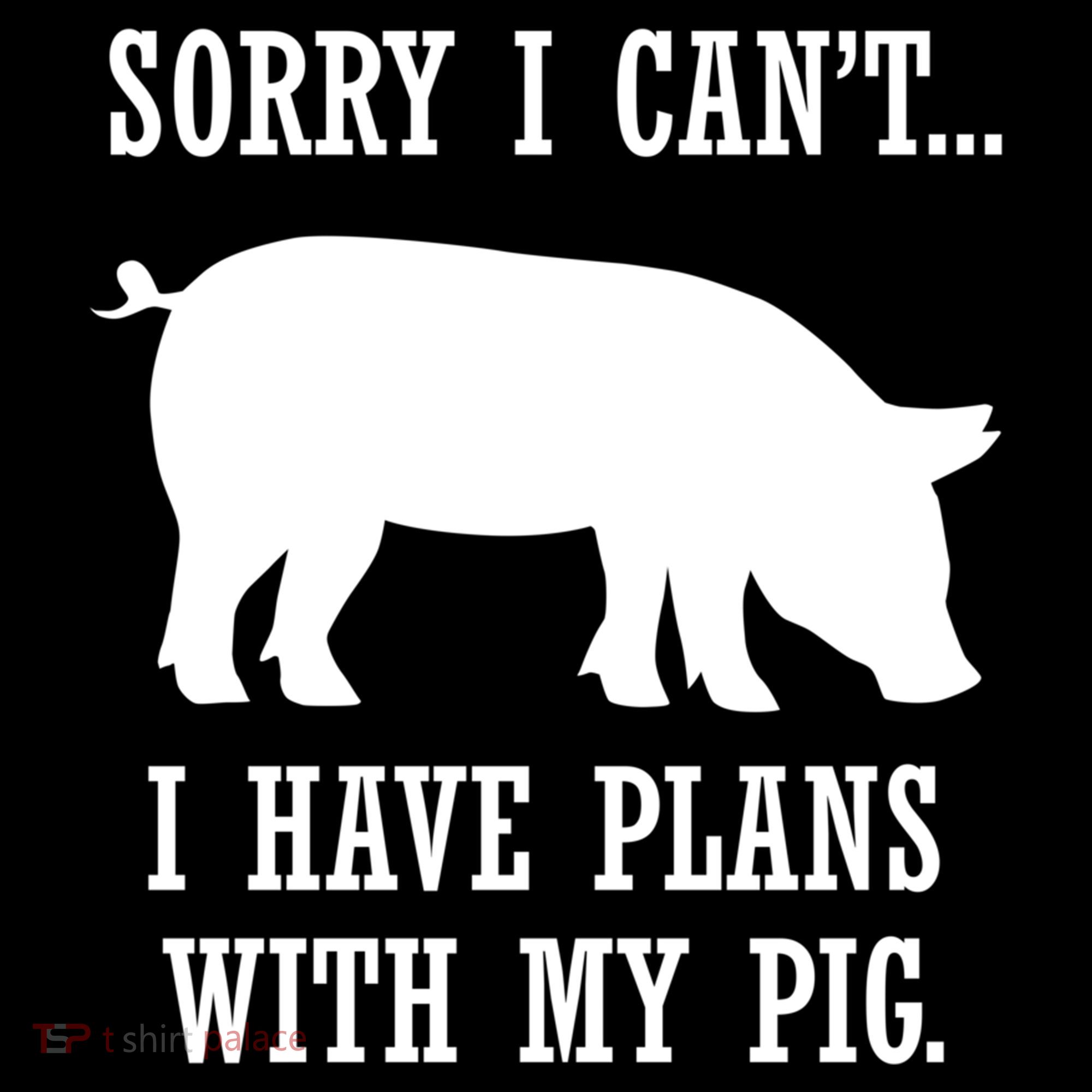 Plans With My Pig Ironic Farmer Pork Gift Women's Hoodie