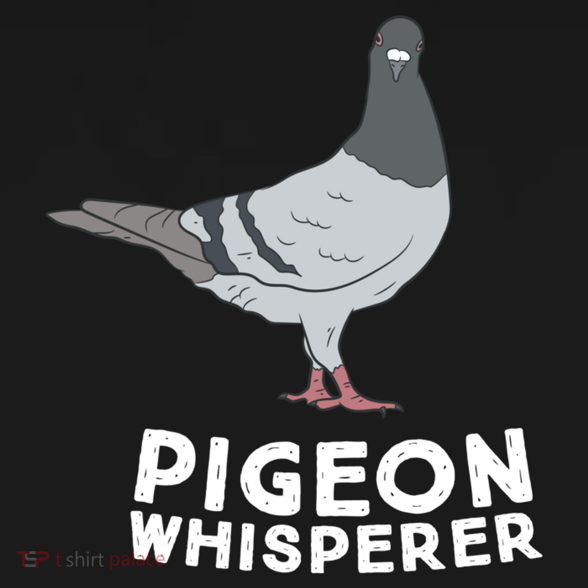Pigeon Whisperer Pigeon Bird Cute Pigeon Whisperer Birds Ornament