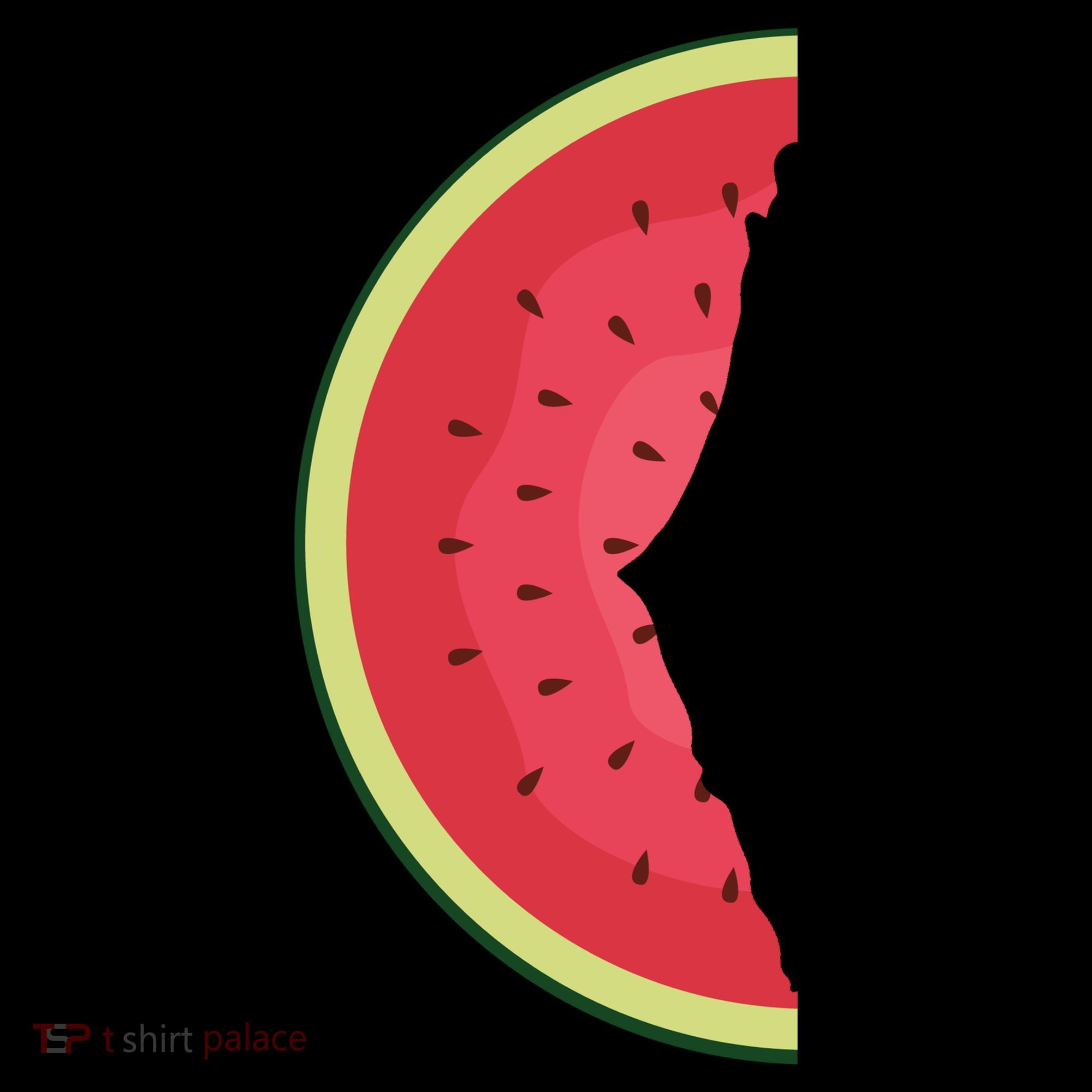 Palestine Watermelon Toddler Hoodie