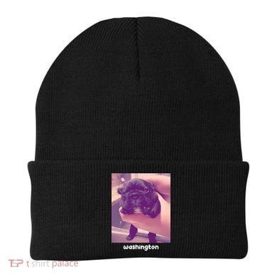 Pibble Washington Beanie