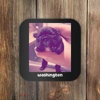 Pibble Washington Coaster thumb 0