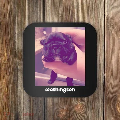 Pibble Washington Coaster