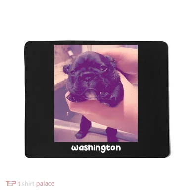 Pibble Washington Mousepad