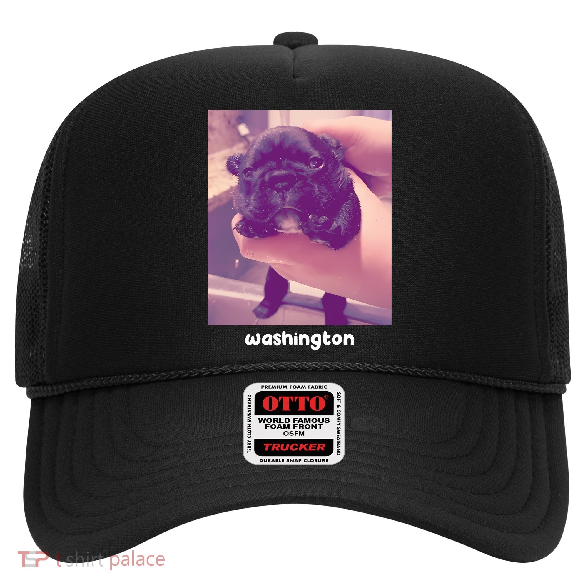 Pibble Washington Hat