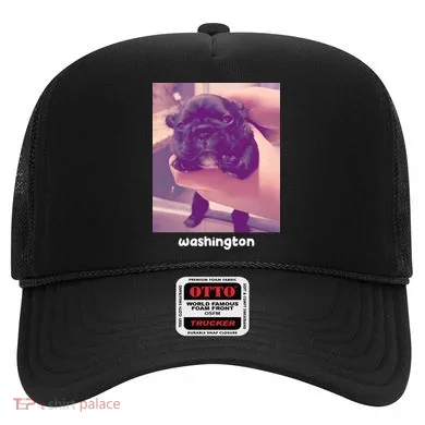Pibble Washington Hat