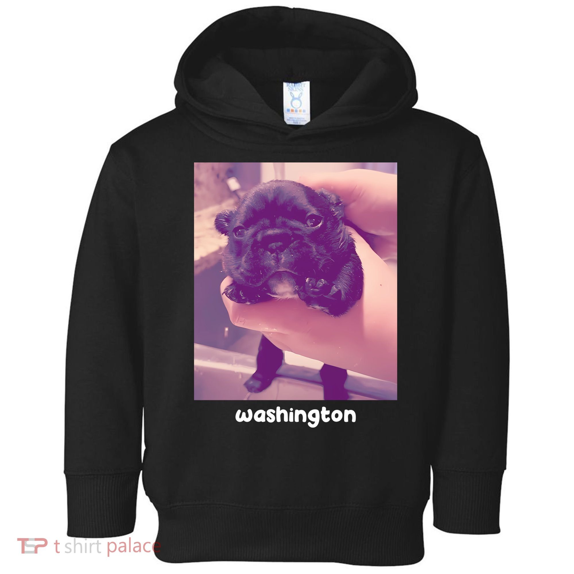 Pibble Washington Toddler Hoodie