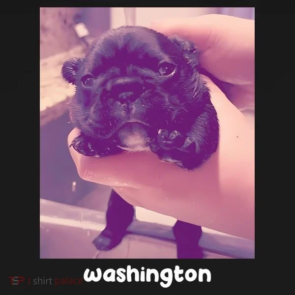 Pibble Washington Toddler T-Shirt