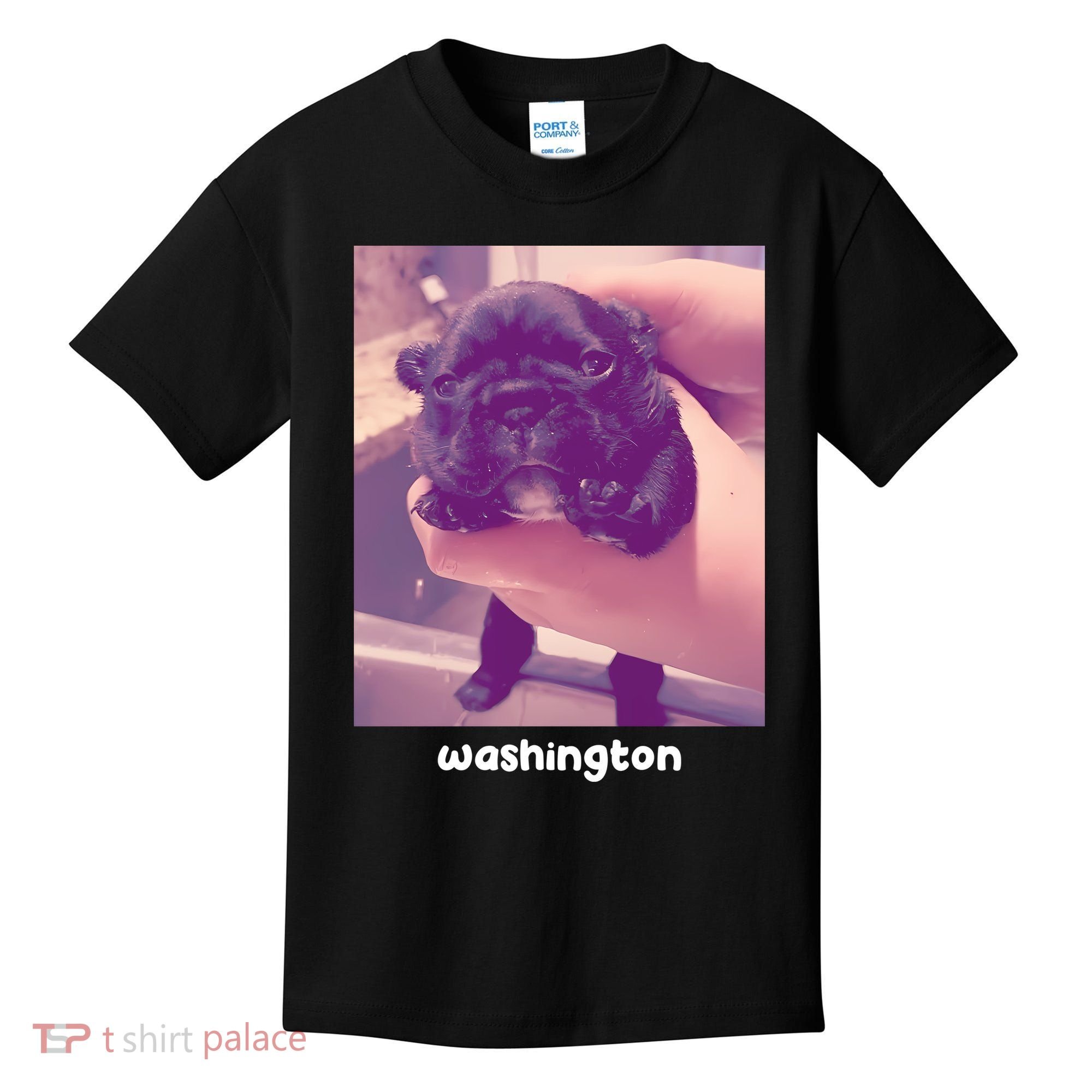 Pibble Washington Kids T-Shirt