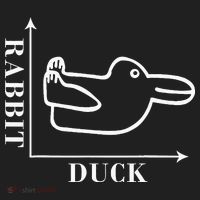 Philosophy Wittgenstein Rabbit Duck Illusion Beanie thumb 2